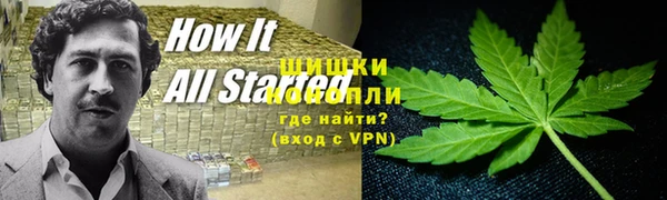 хмурый Белокуриха