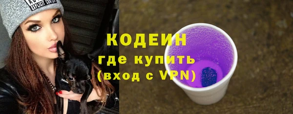 хмурый Белокуриха
