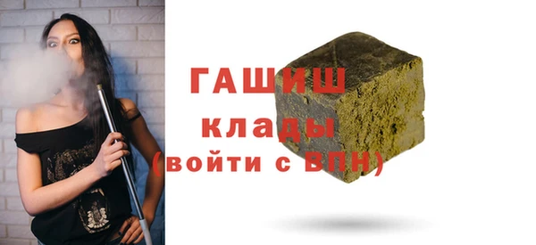 хмурый Белокуриха