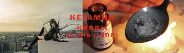 хмурый Белокуриха