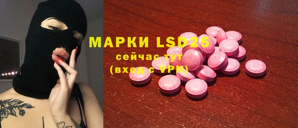 хмурый Белокуриха