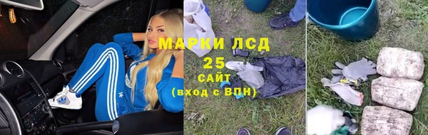 хмурый Белокуриха