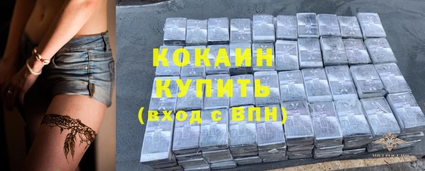 хмурый Белокуриха