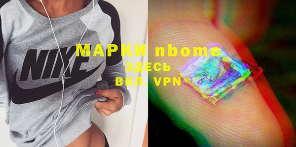хмурый Белокуриха