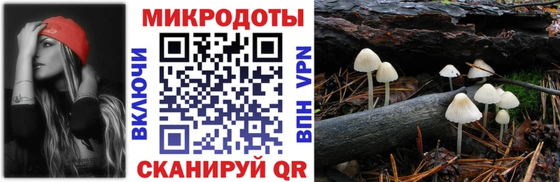 закладка  ссылка на мегу ССЫЛКА  Псилоцибиновые грибы мицелий  Всеволожск 